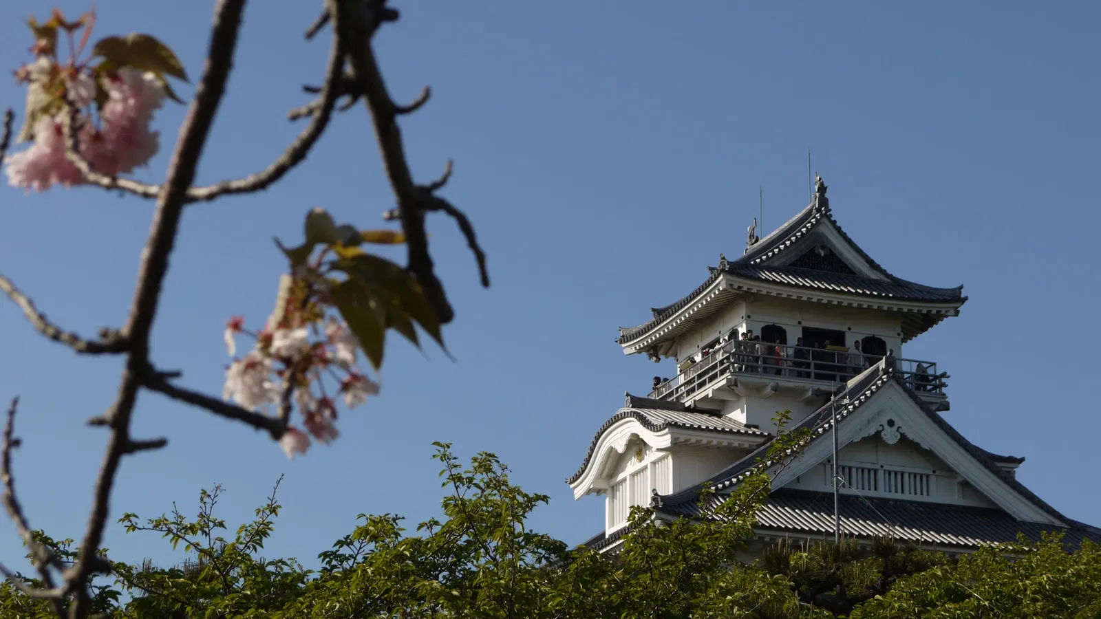 Nagahama Castle Historical Museum