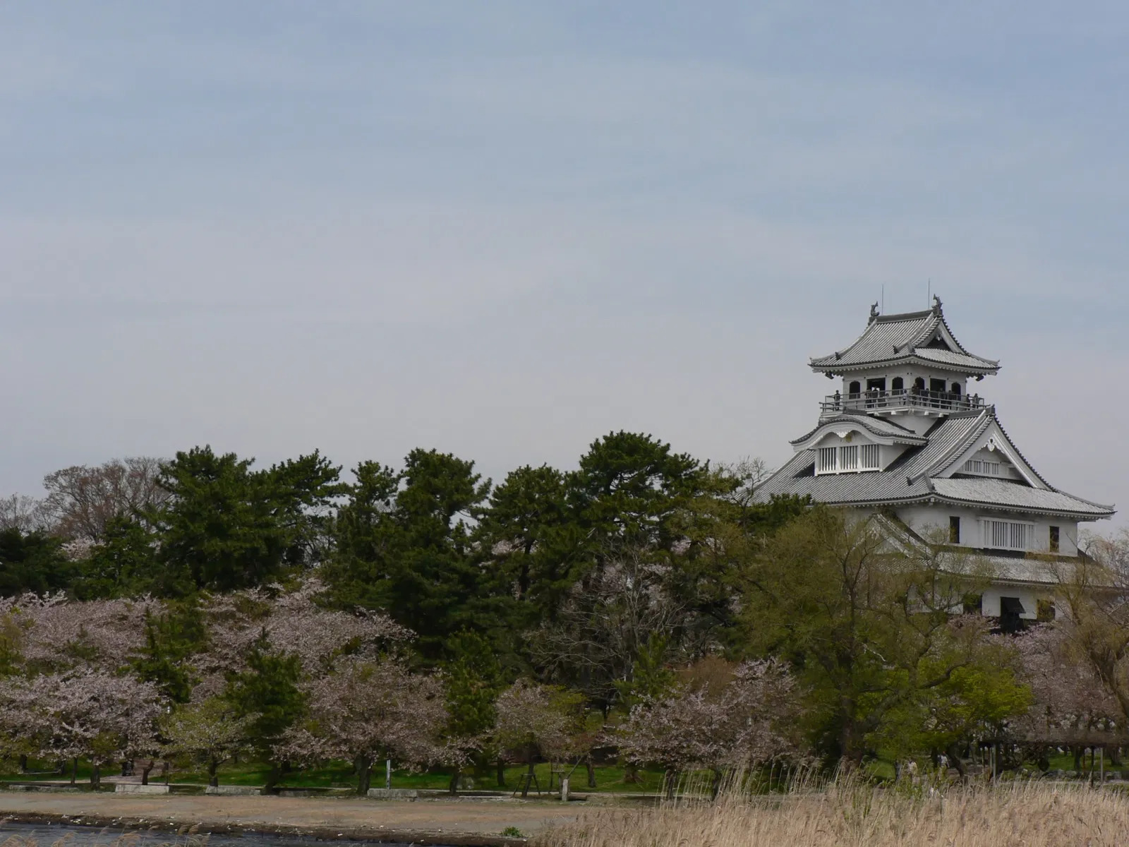 Nagahama Castle Historical Museum