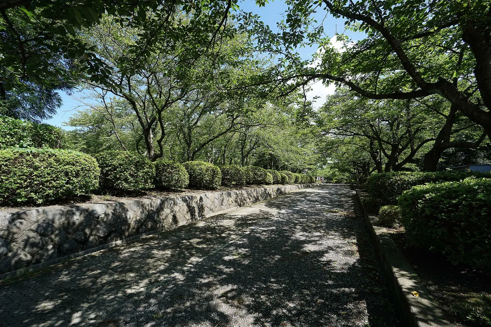 Nagahama Castle Historical Museum
