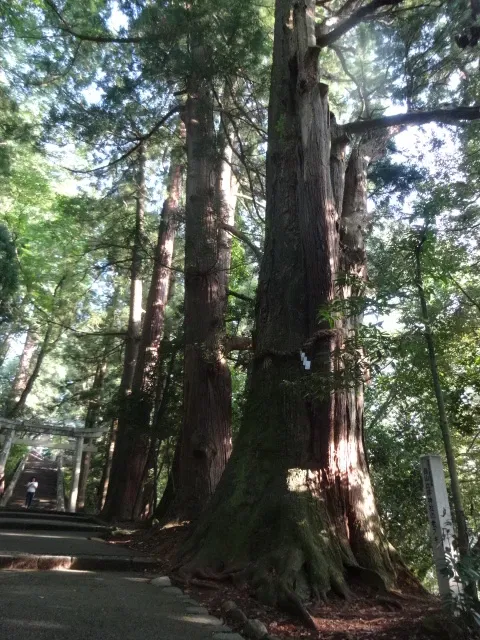 Shirayama Hime Jinja Shrine