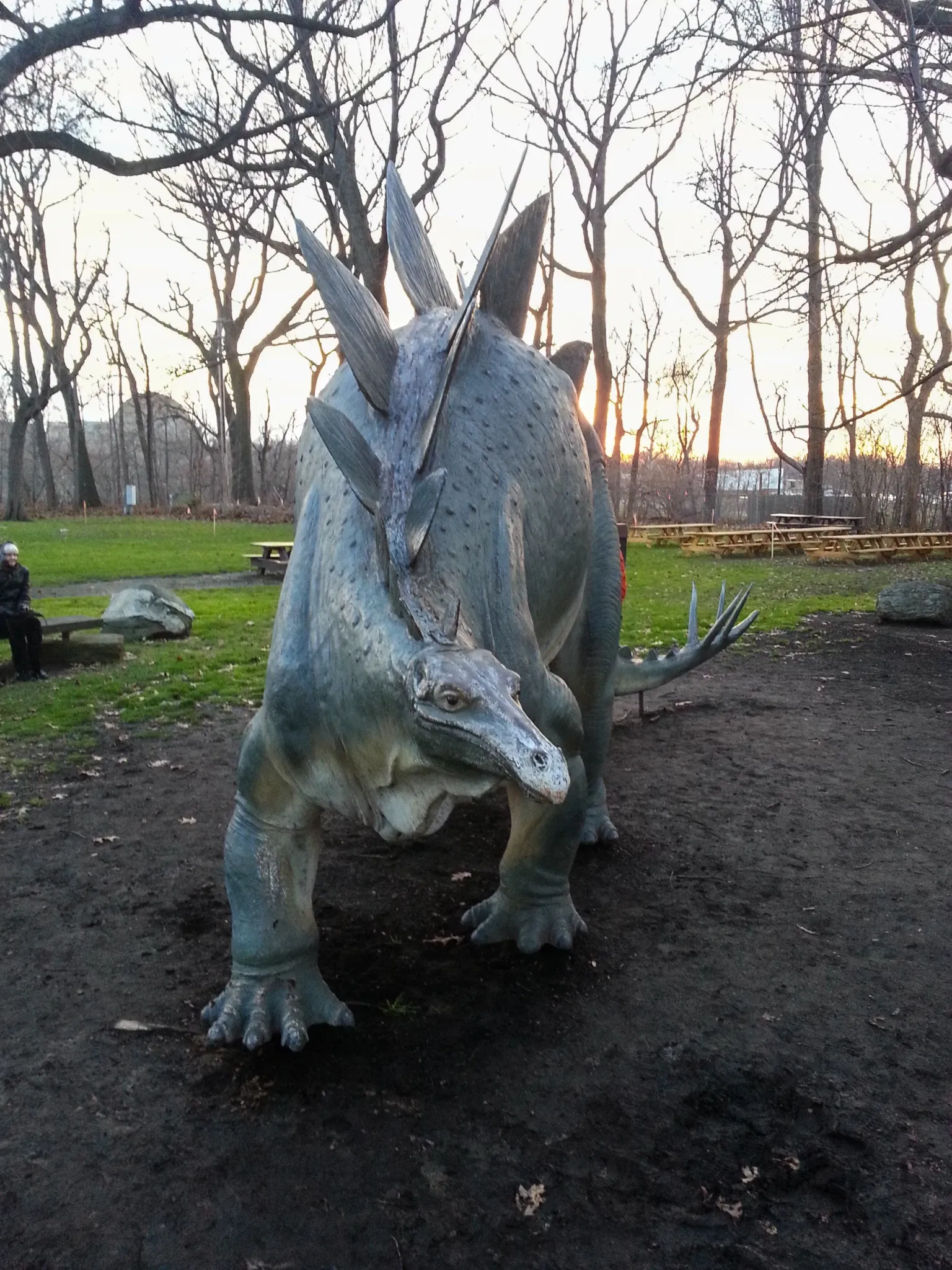 Cleveland Museum of Natural History