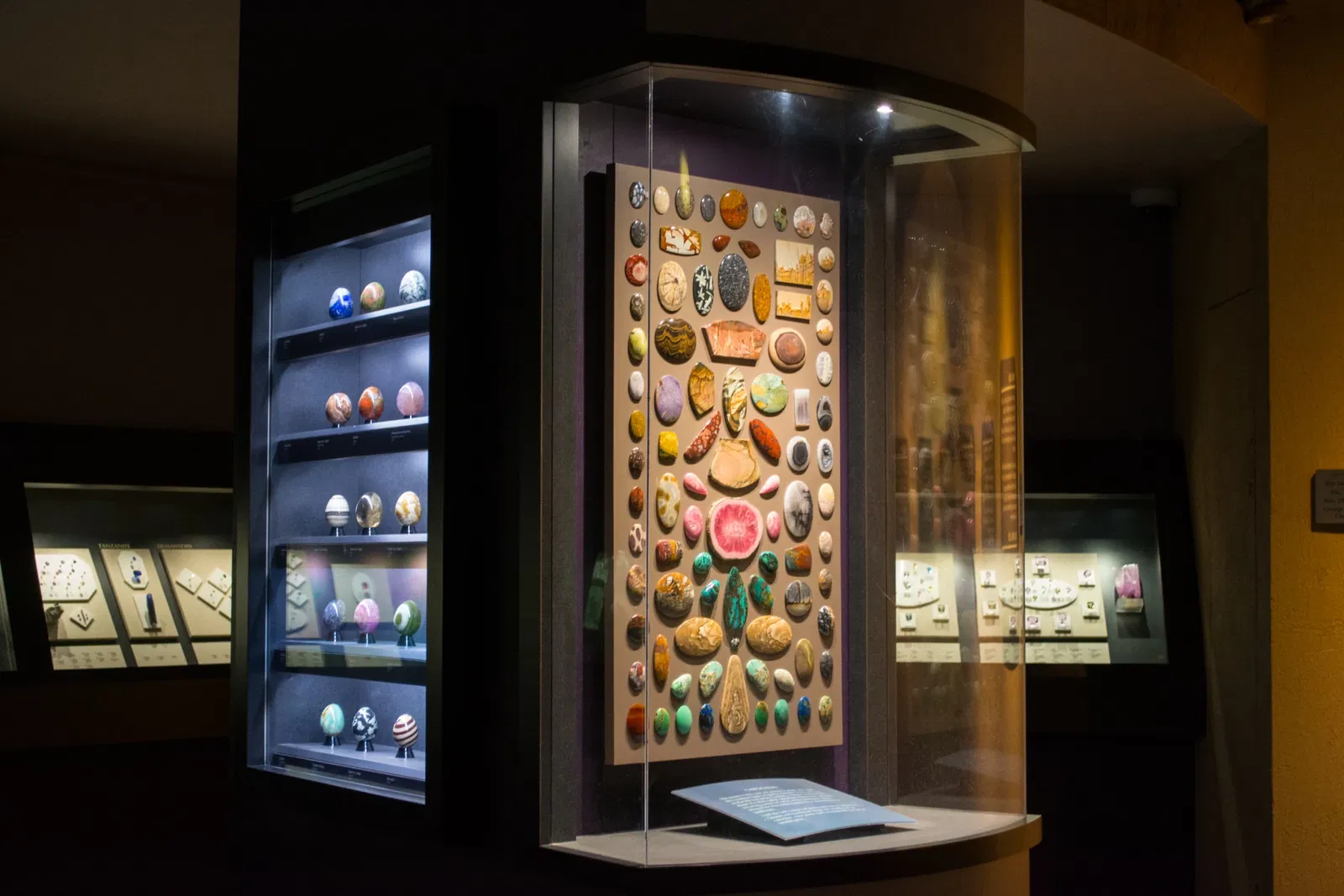 Cleveland Museum of Natural History