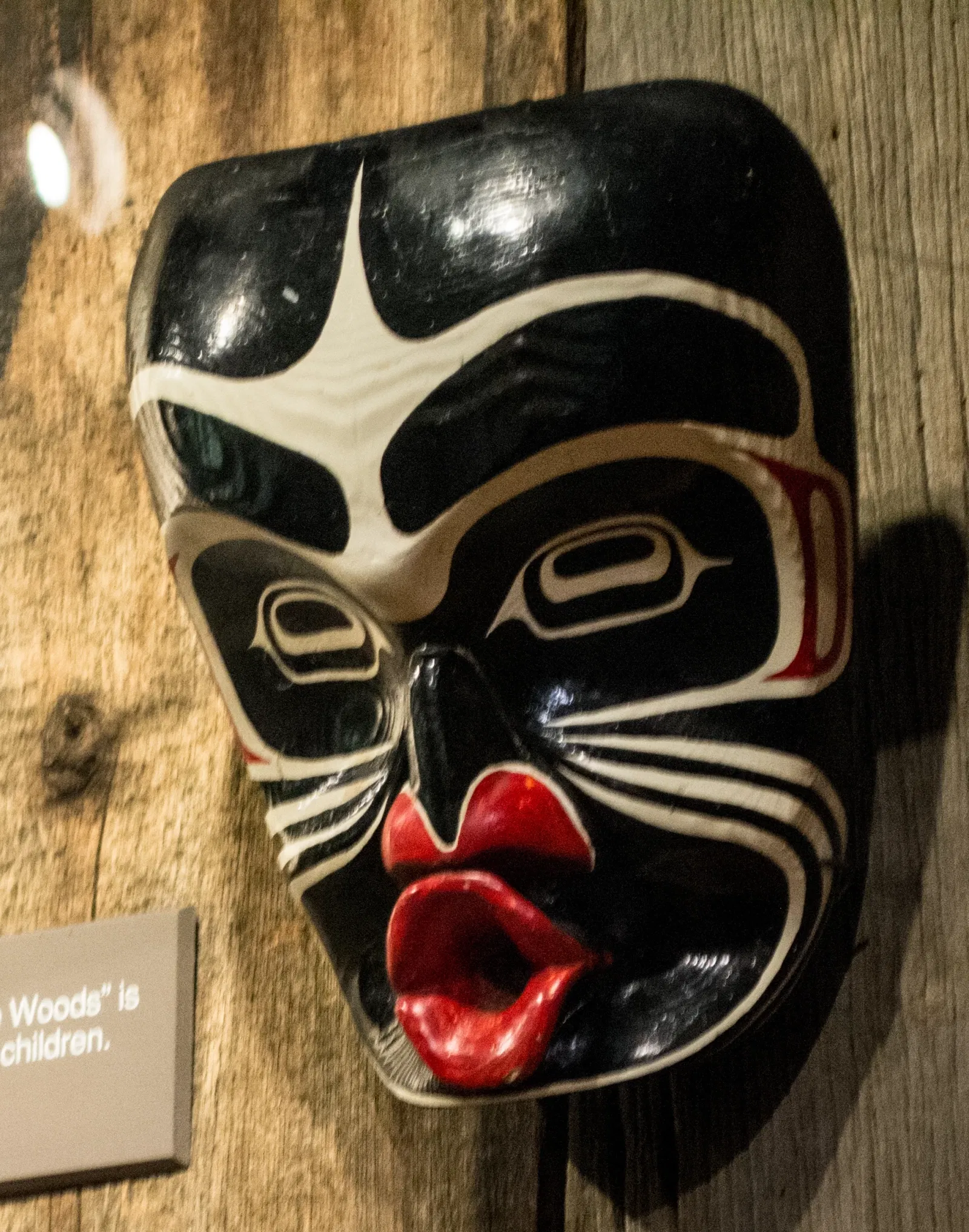 Cleveland Museum of Natural History