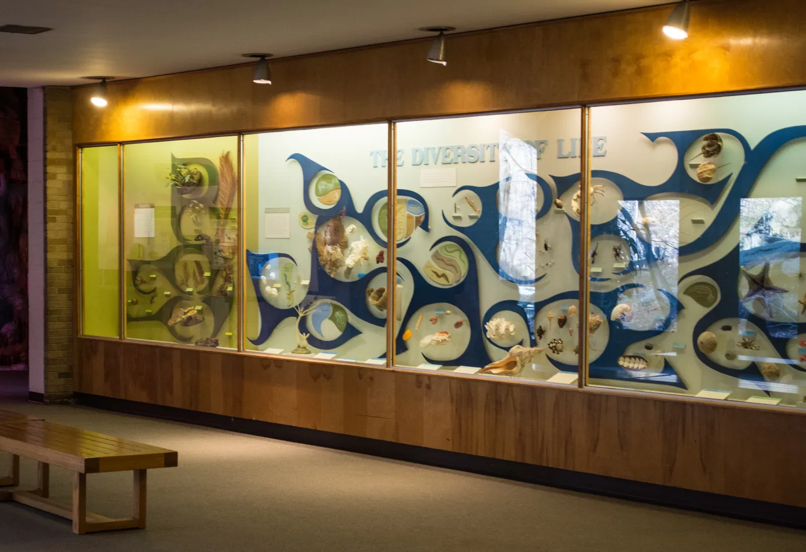 Cleveland Museum of Natural History