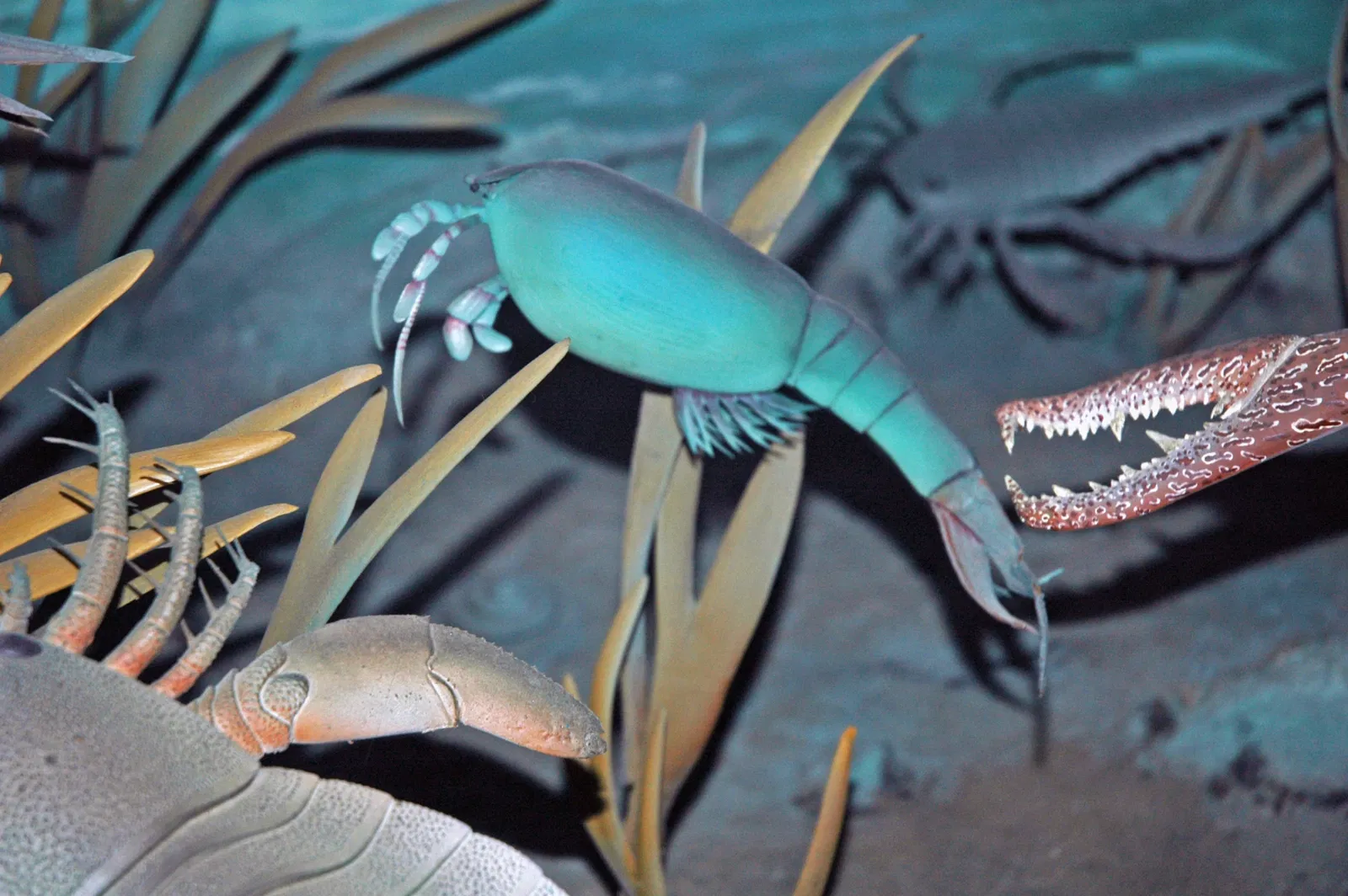 Cleveland Museum of Natural History