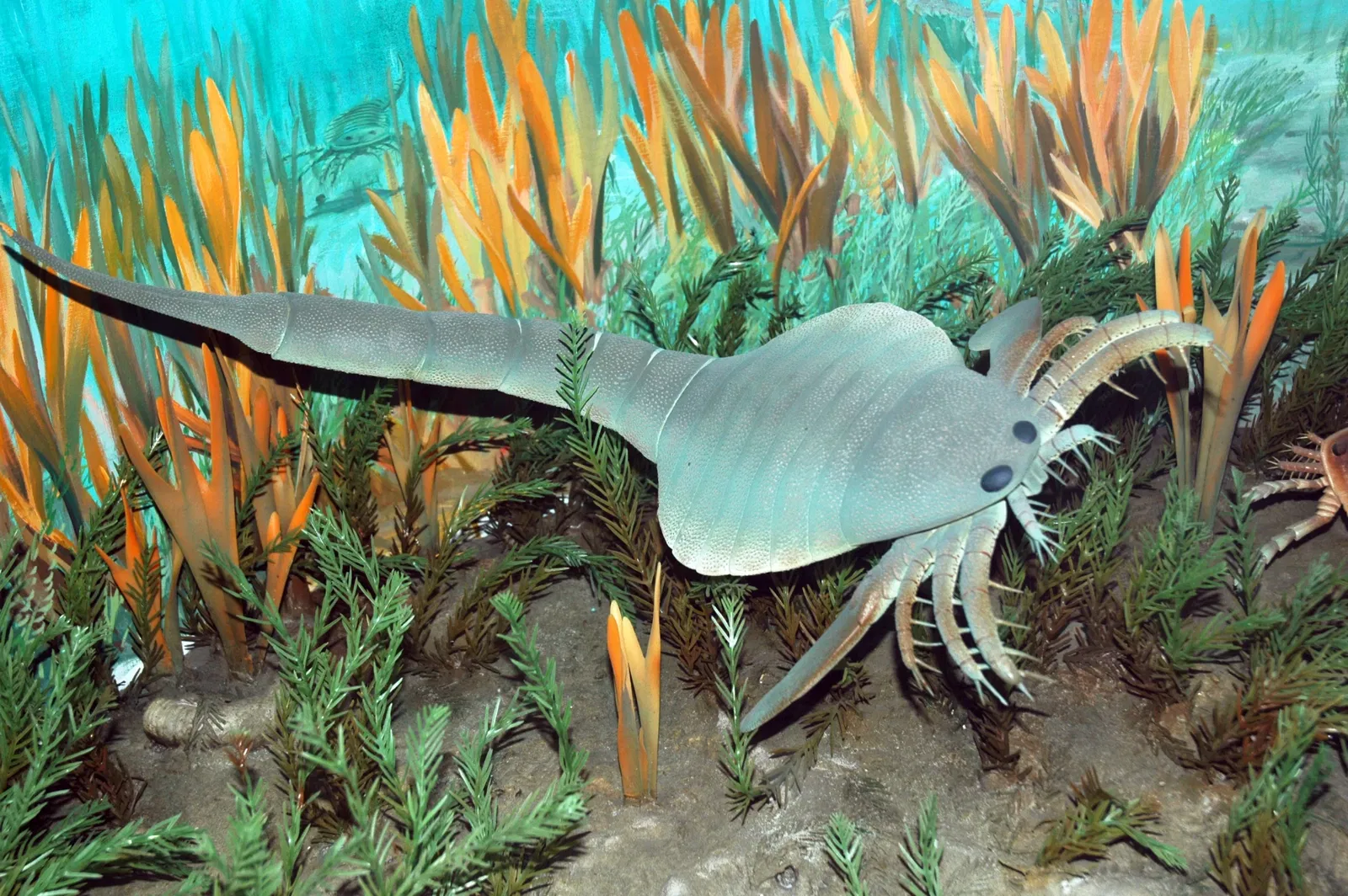 Cleveland Museum of Natural History