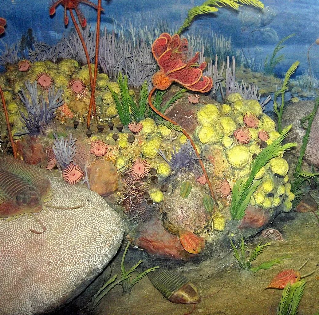 Cleveland Museum of Natural History