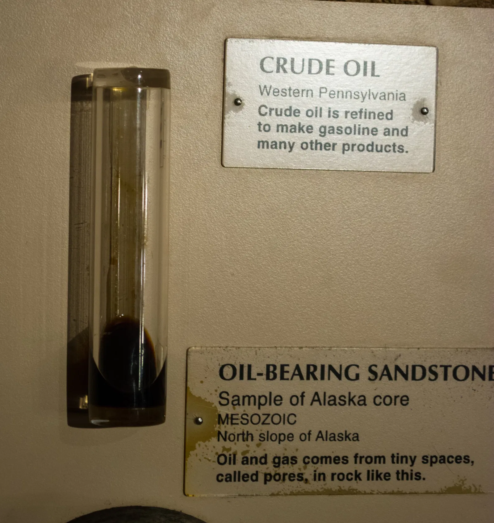 Cleveland Museum of Natural History