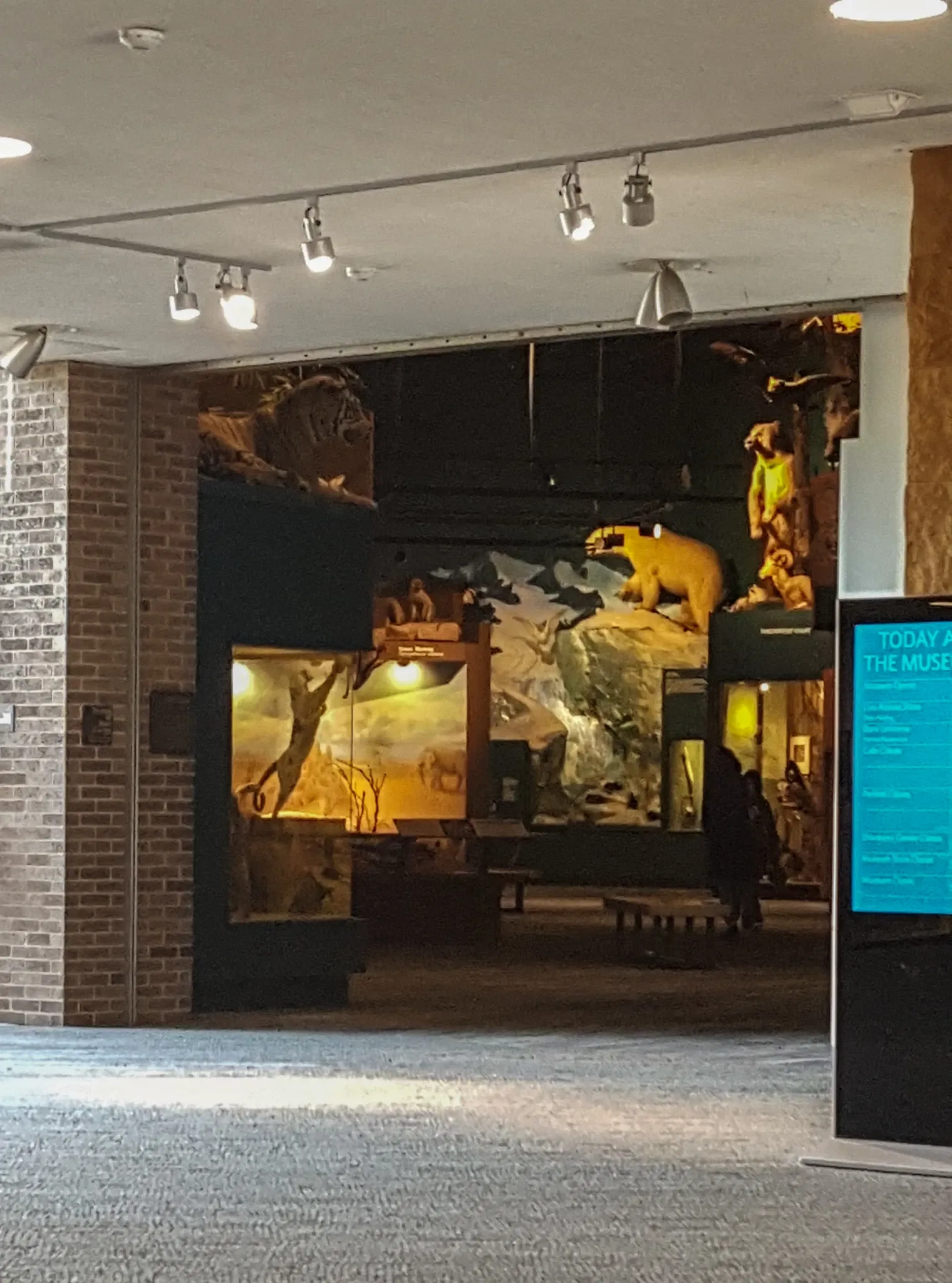 Cleveland Museum of Natural History