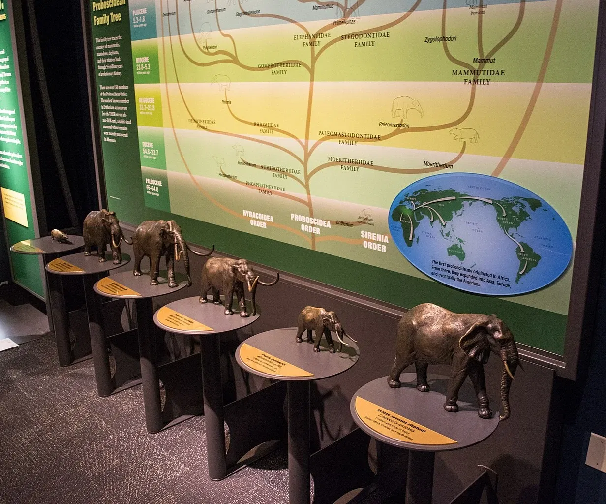 Cleveland Museum of Natural History