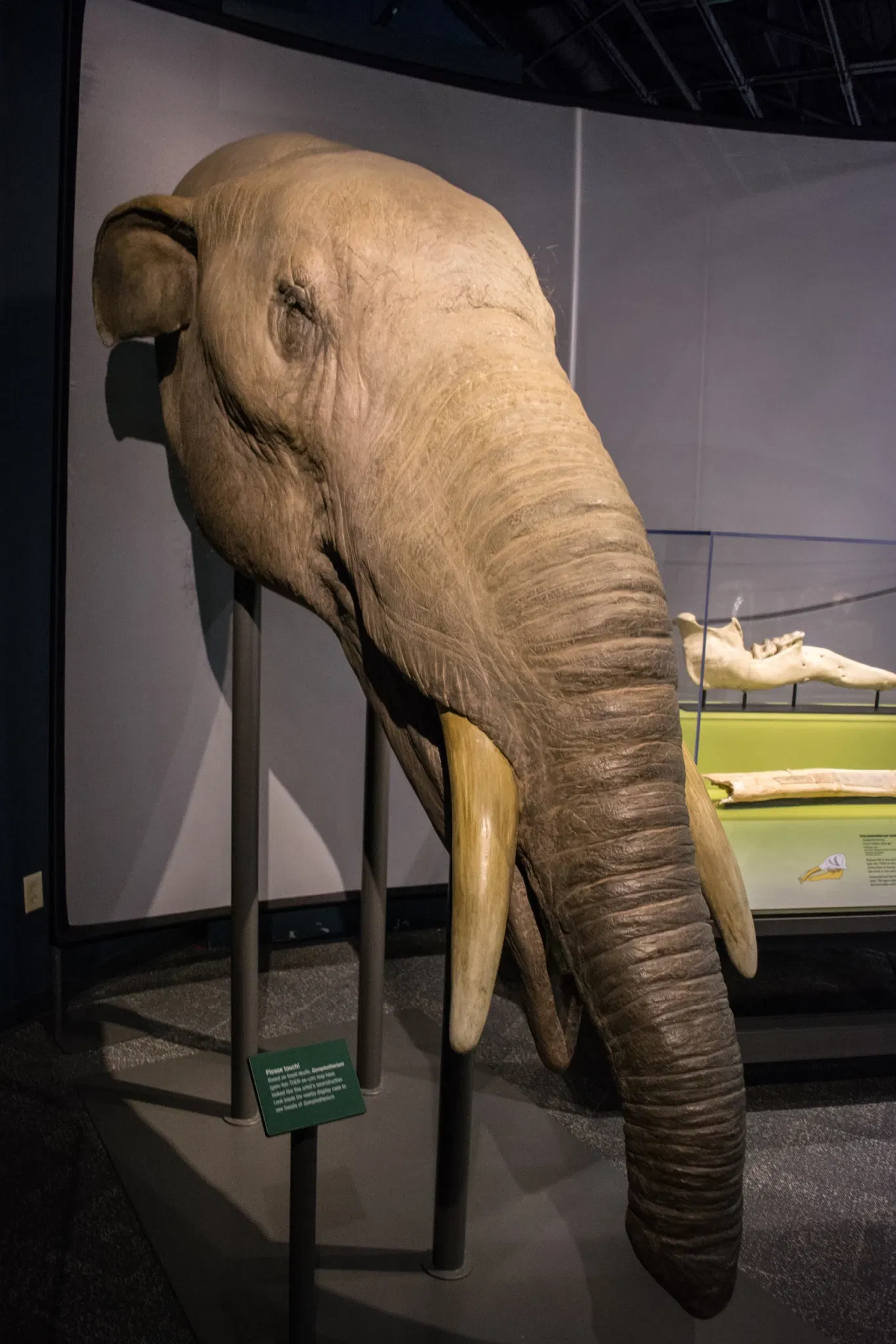 Cleveland Museum of Natural History