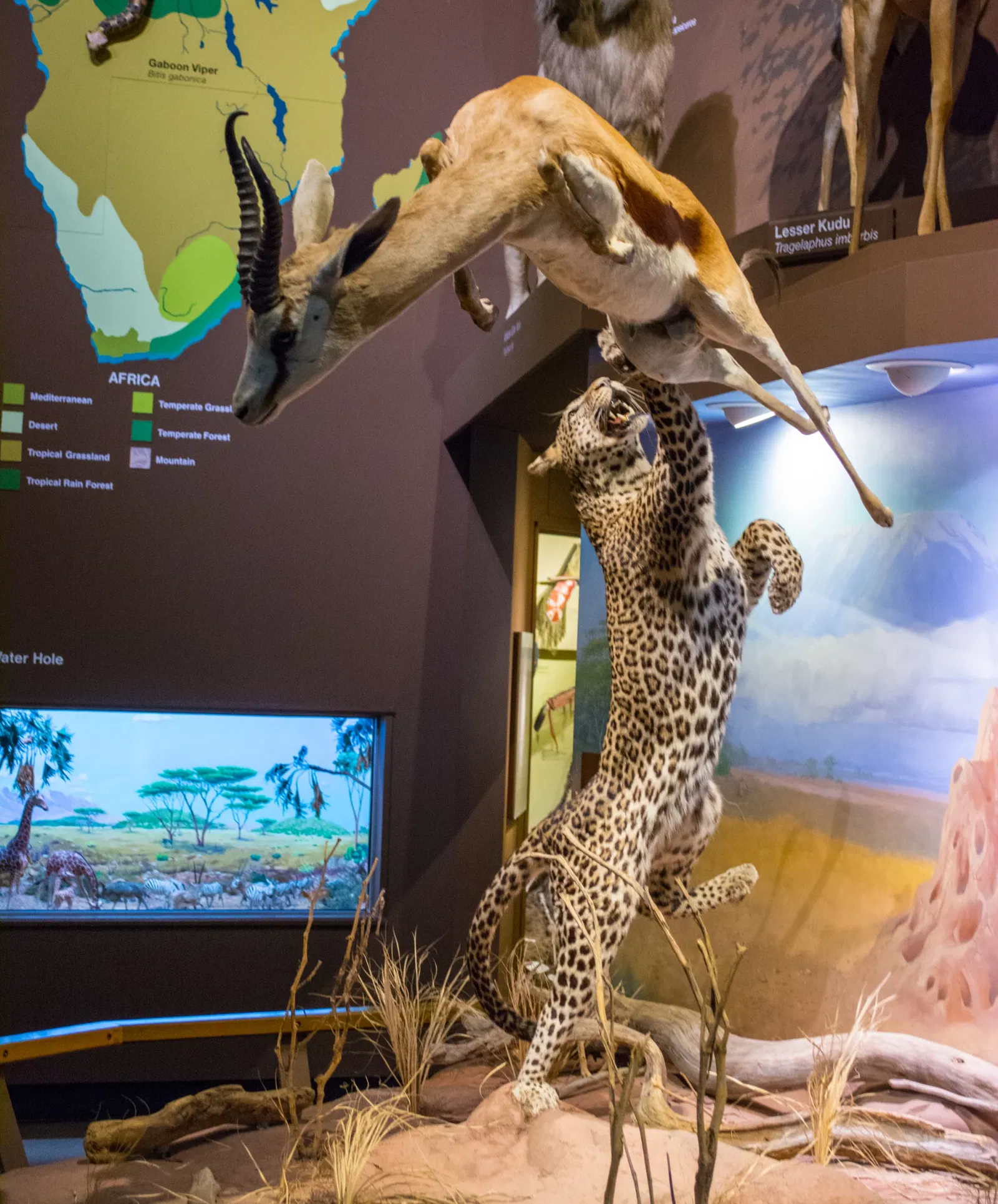 Cleveland Museum of Natural History