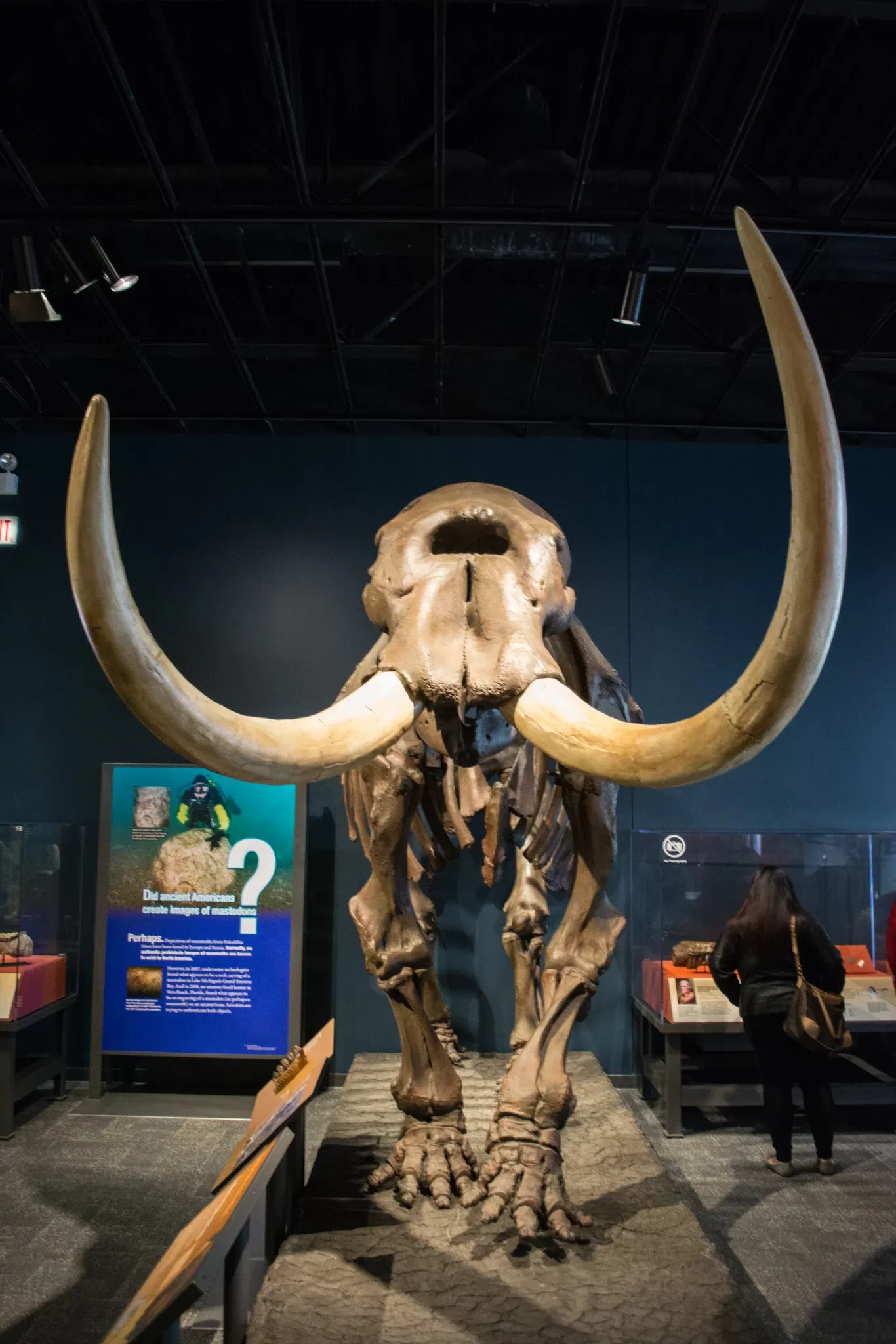 Cleveland Museum of Natural History