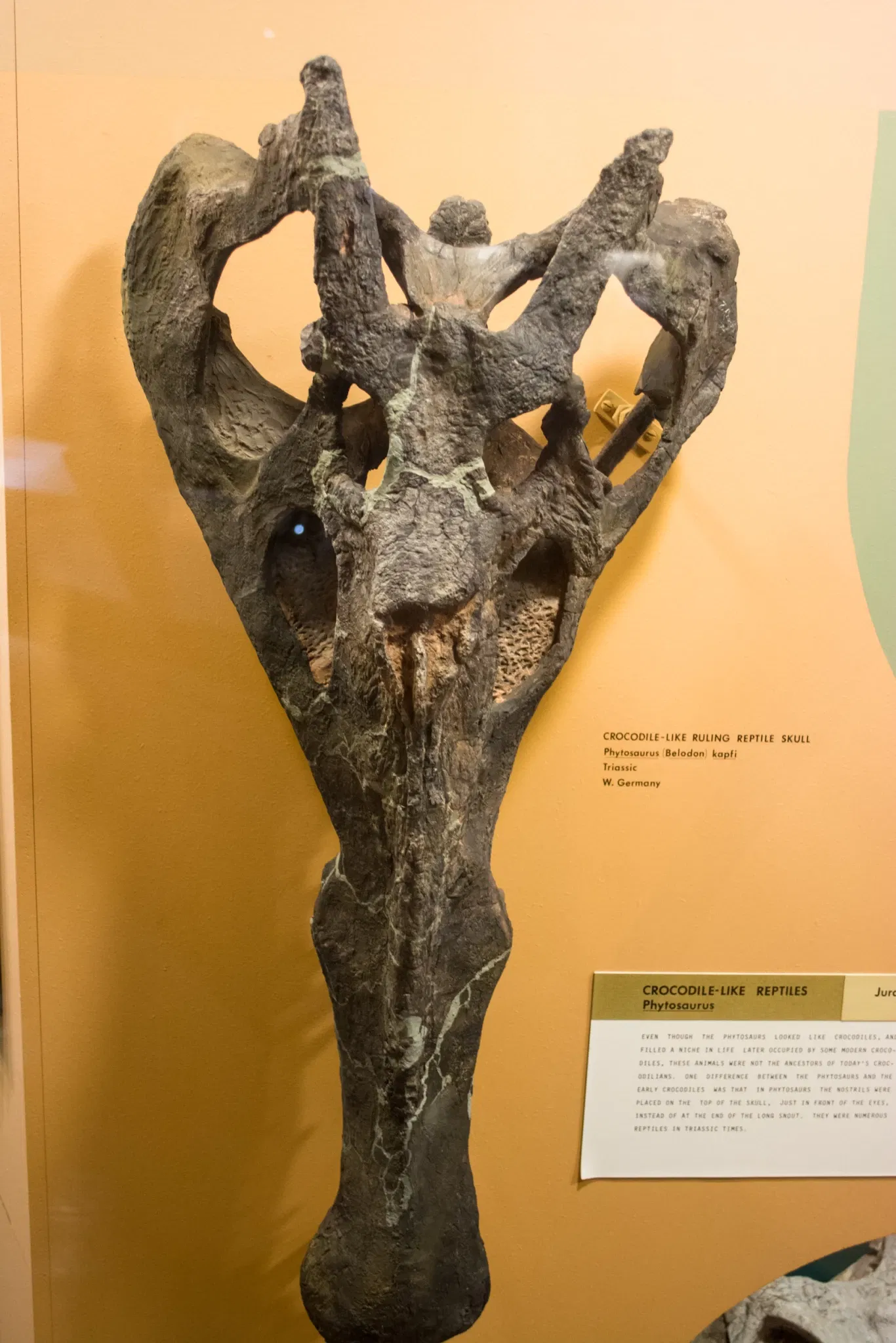 Cleveland Museum of Natural History