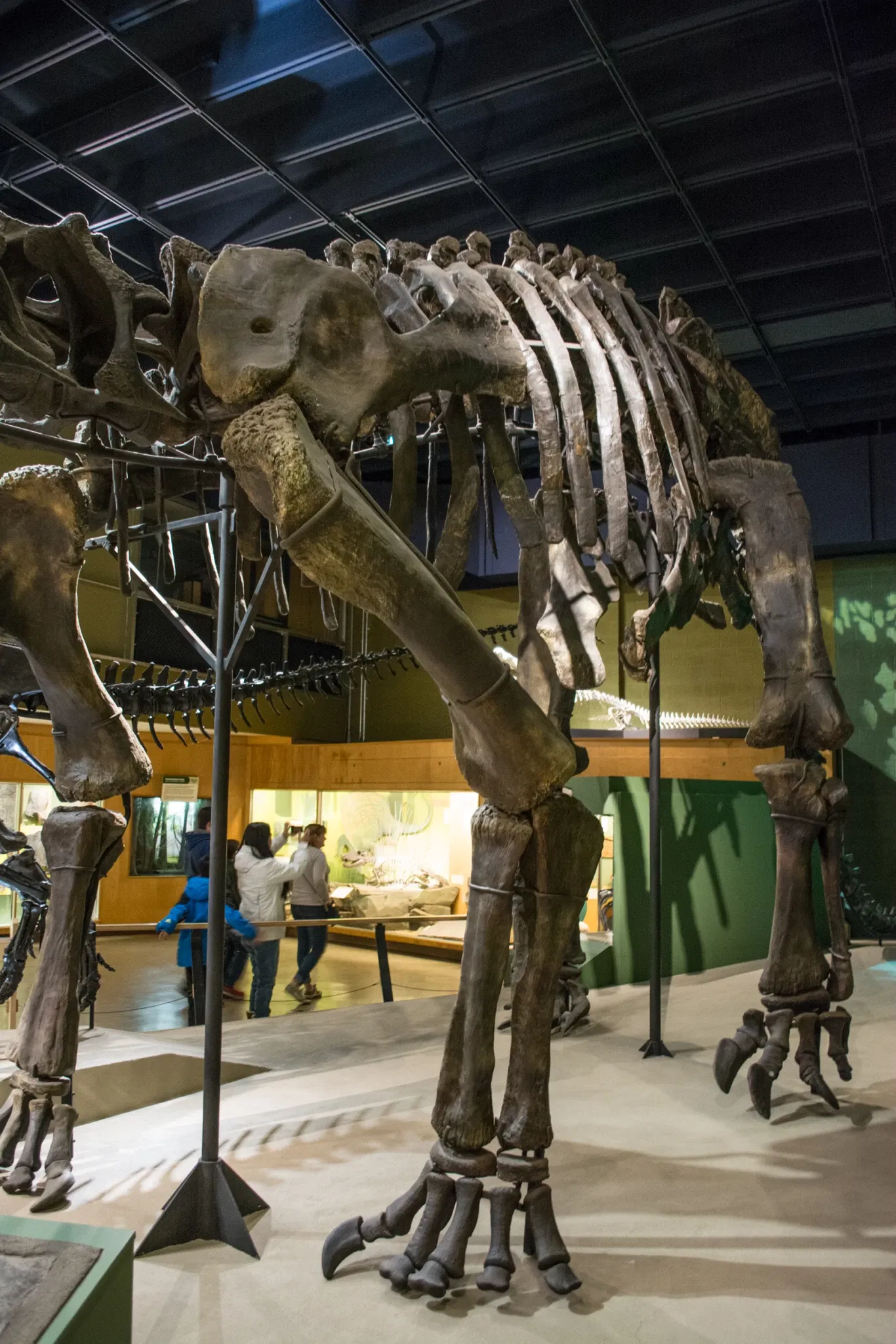 Cleveland Museum of Natural History