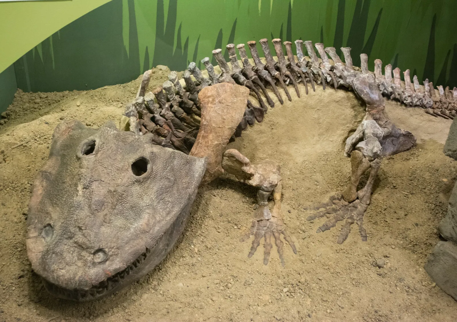 Cleveland Museum of Natural History