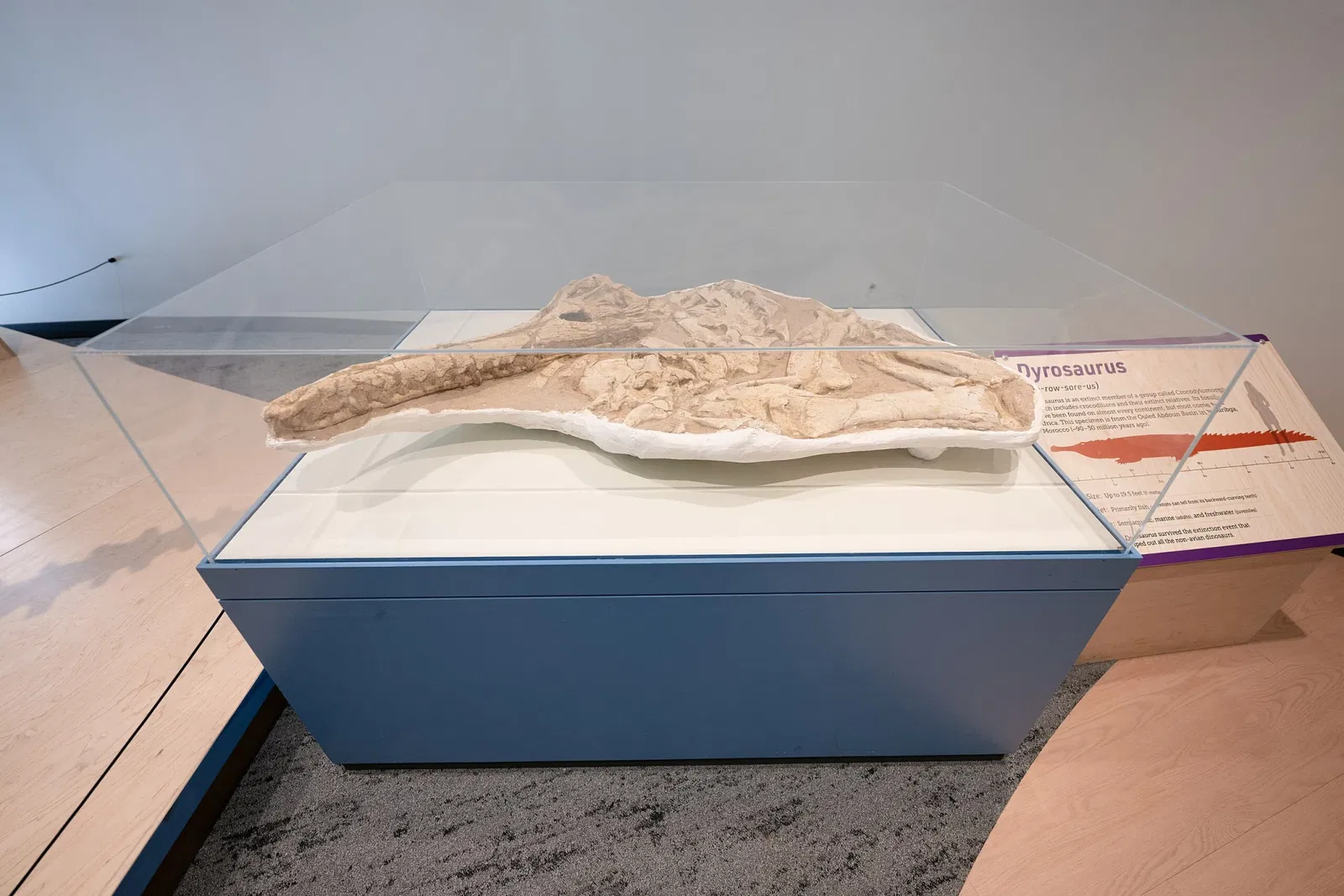 Cleveland Museum of Natural History