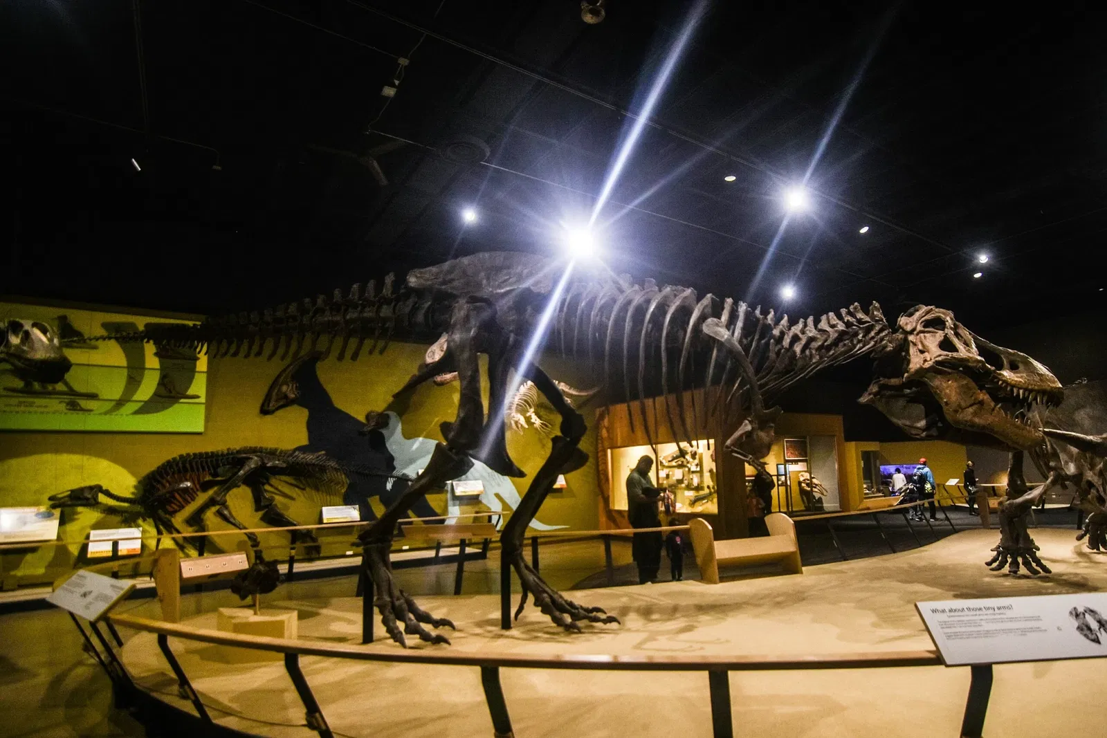 Cleveland Museum of Natural History