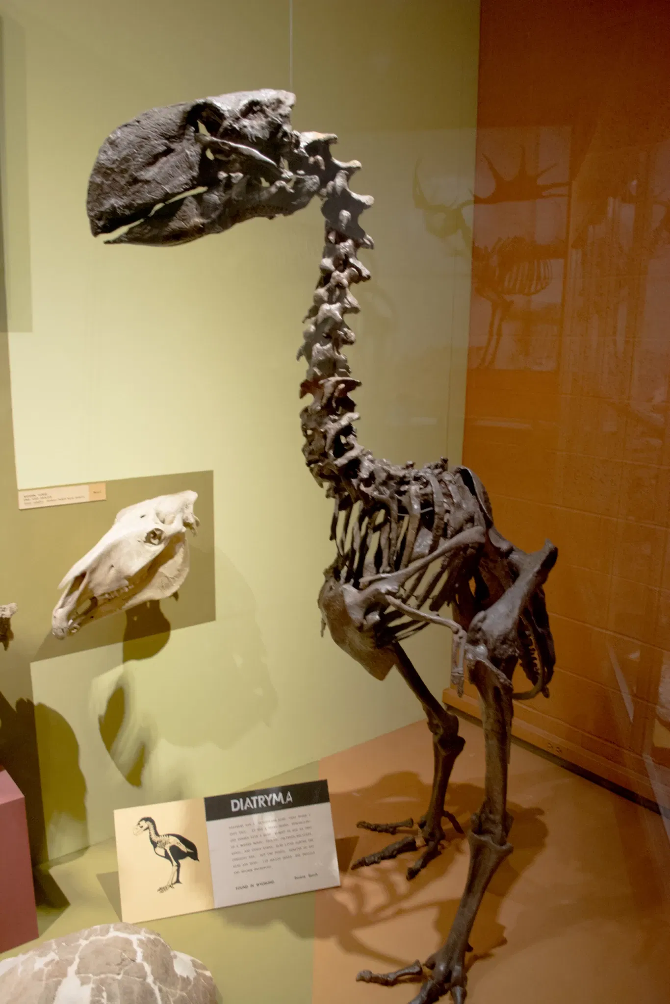 Cleveland Museum of Natural History