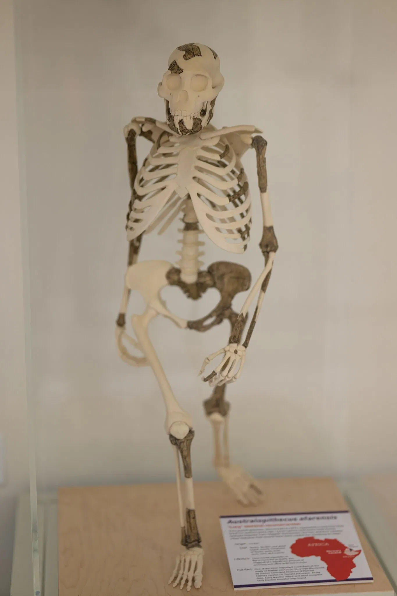 Cleveland Museum of Natural History