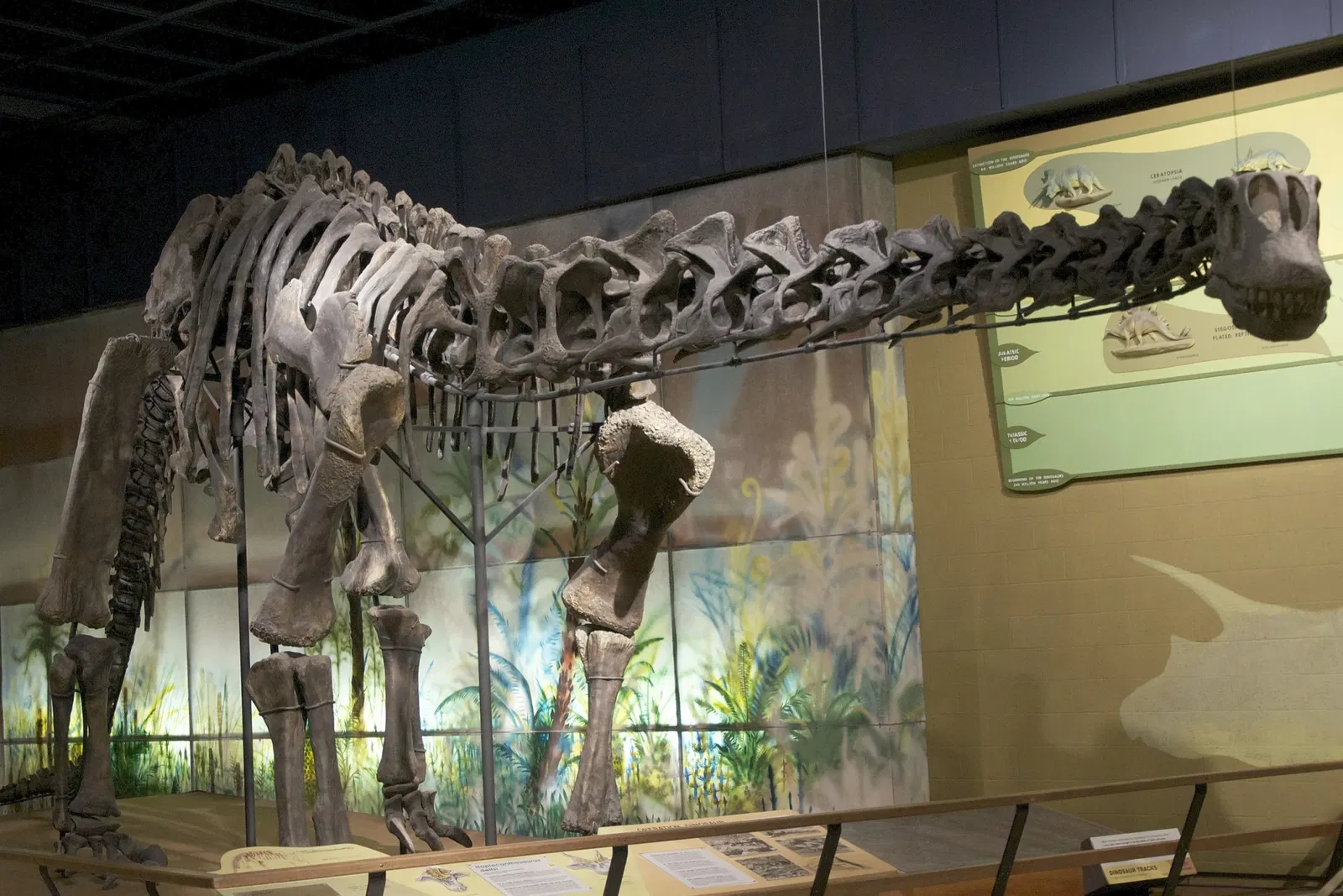 Cleveland Museum of Natural History