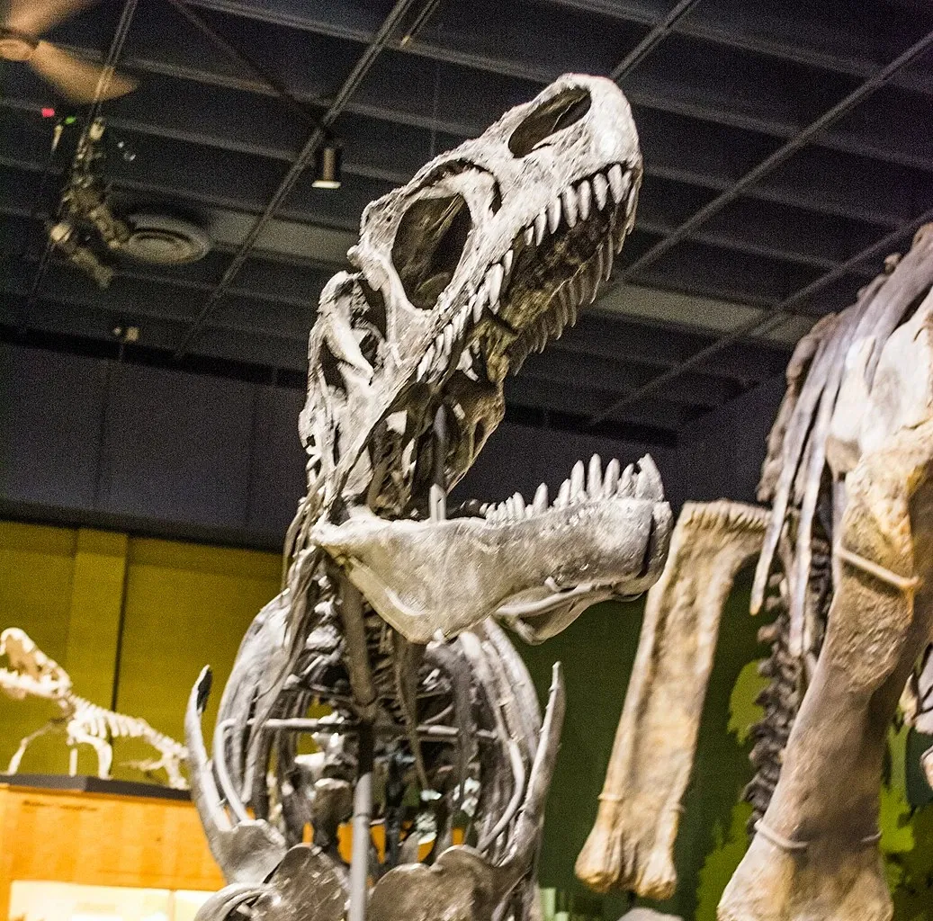 Cleveland Museum of Natural History