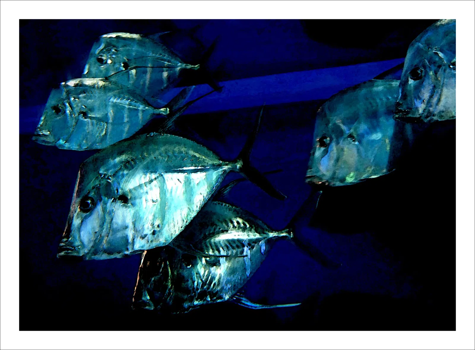 Greater Cleveland Aquarium