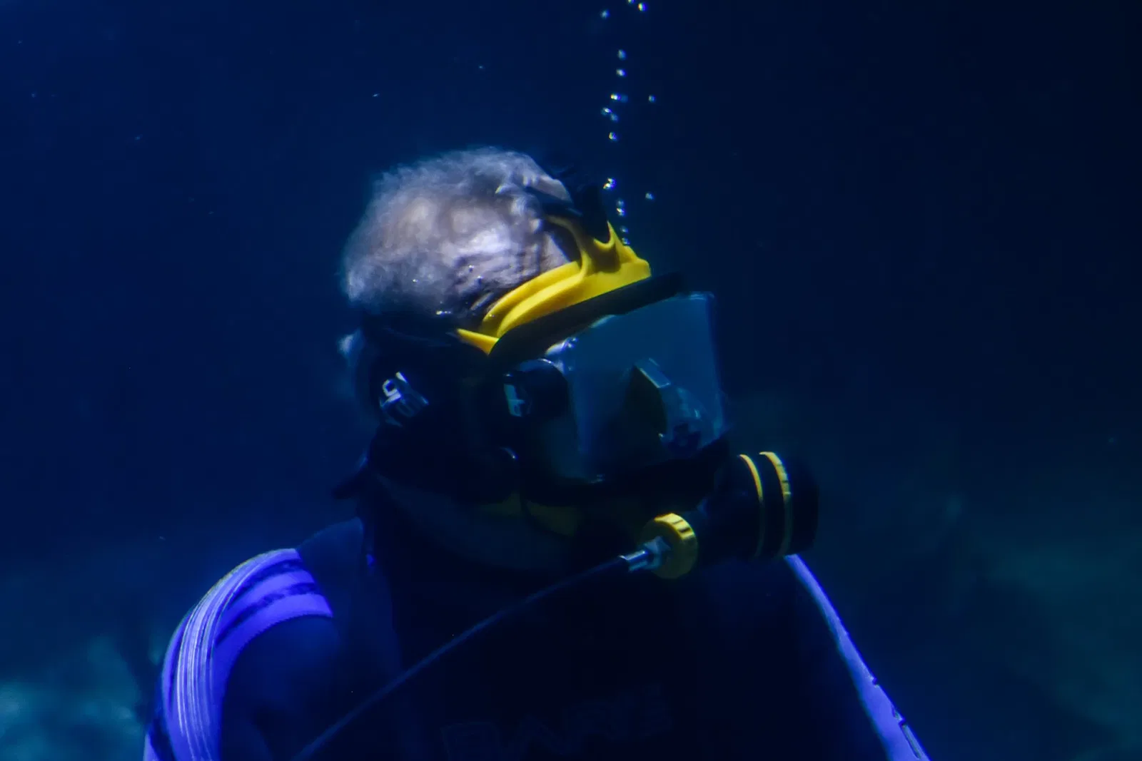 Greater Cleveland Aquarium