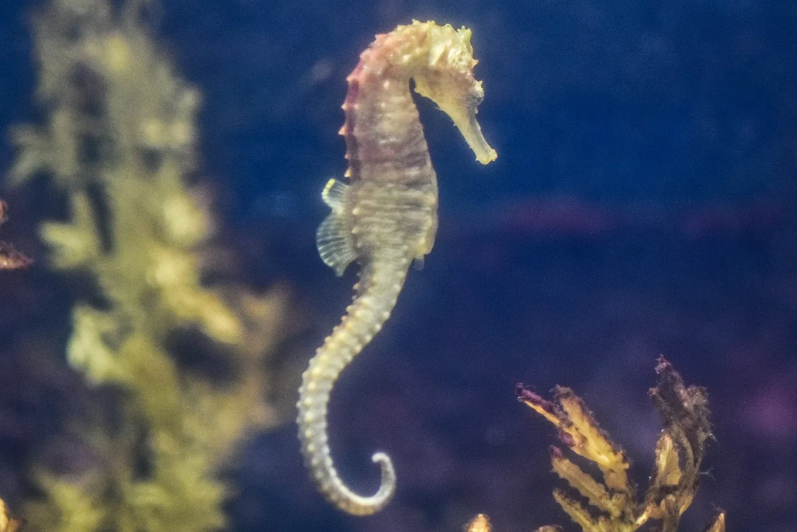 Greater Cleveland Aquarium