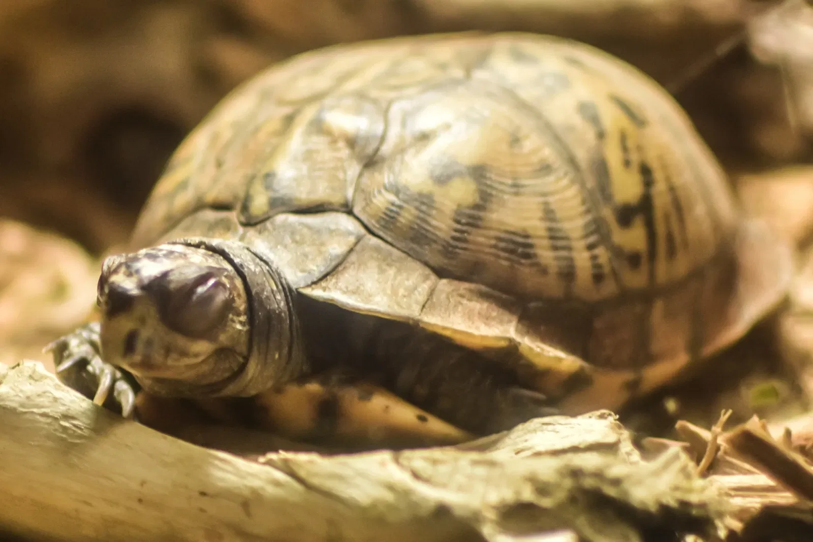 Greater Cleveland Aquarium