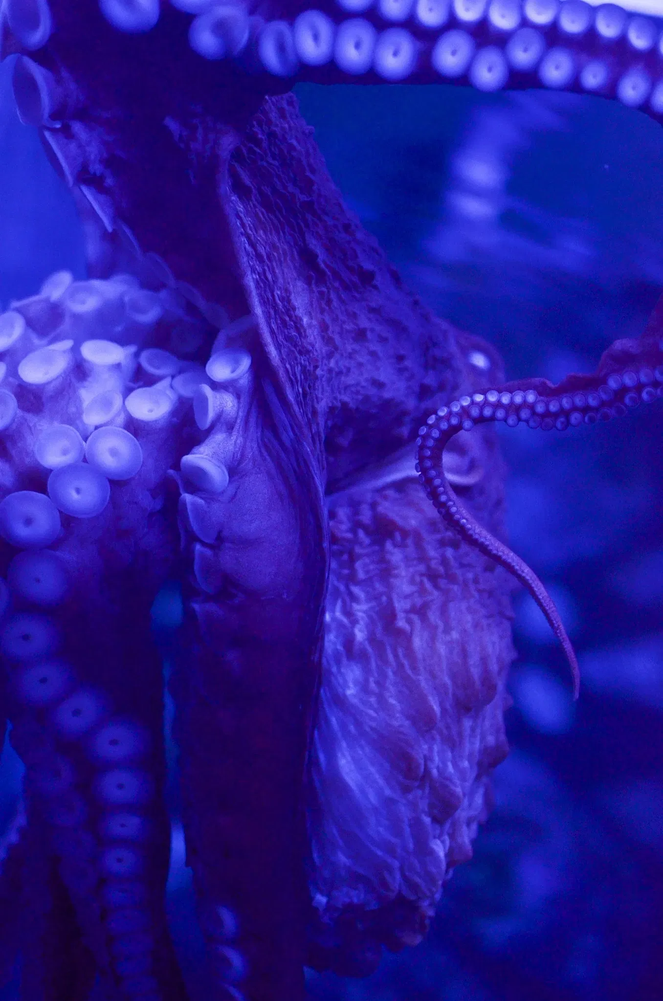 Greater Cleveland Aquarium