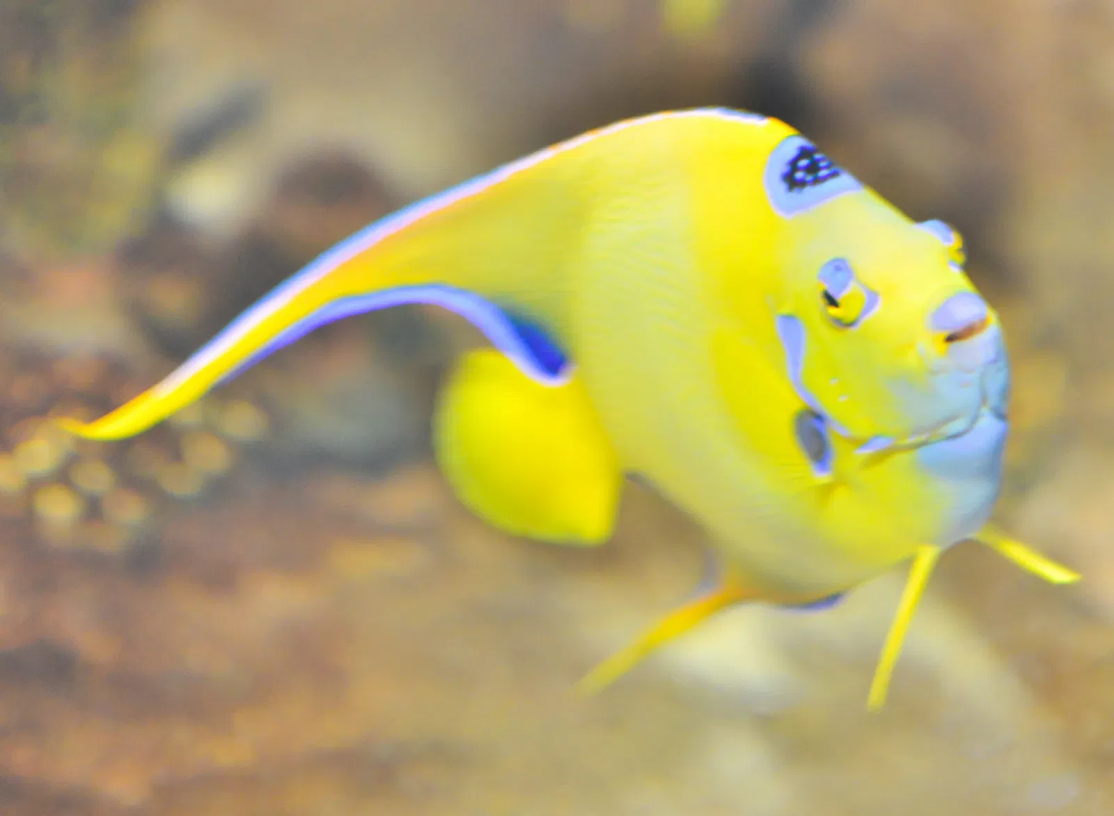 Greater Cleveland Aquarium