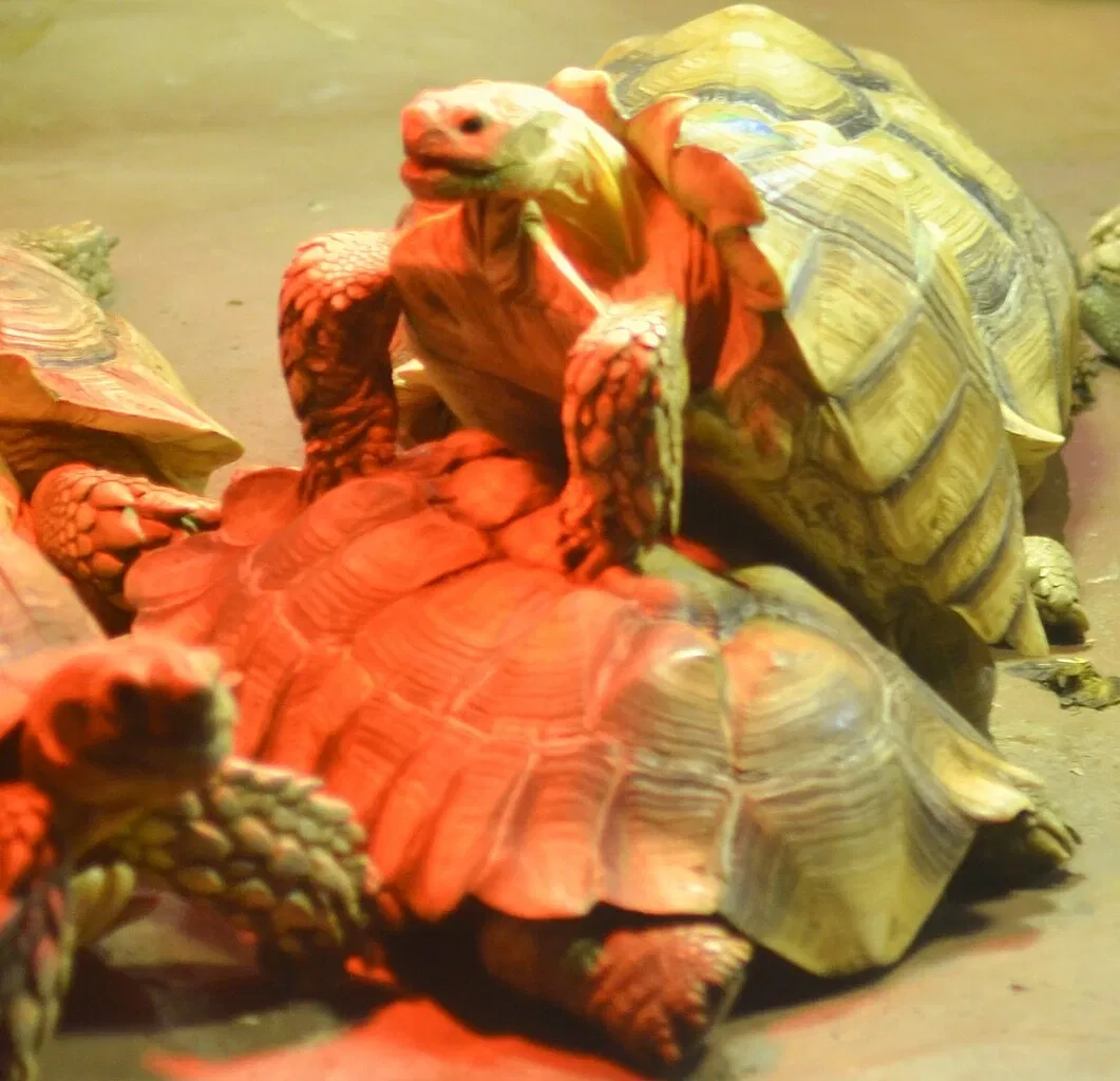 Greater Cleveland Aquarium