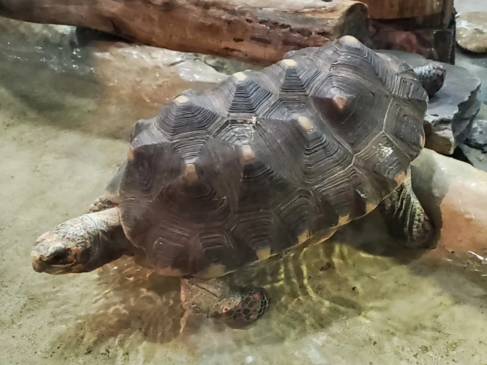 Greater Cleveland Aquarium