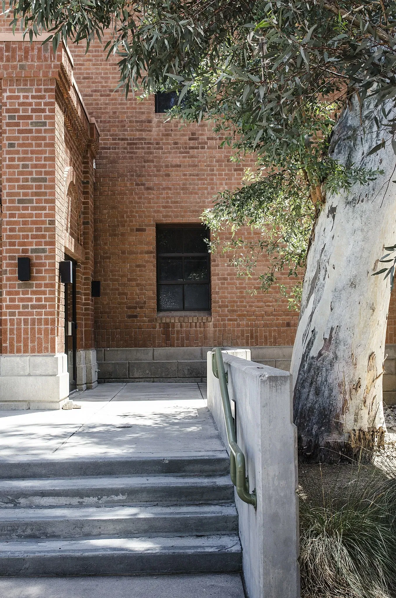 Arizona State Museum