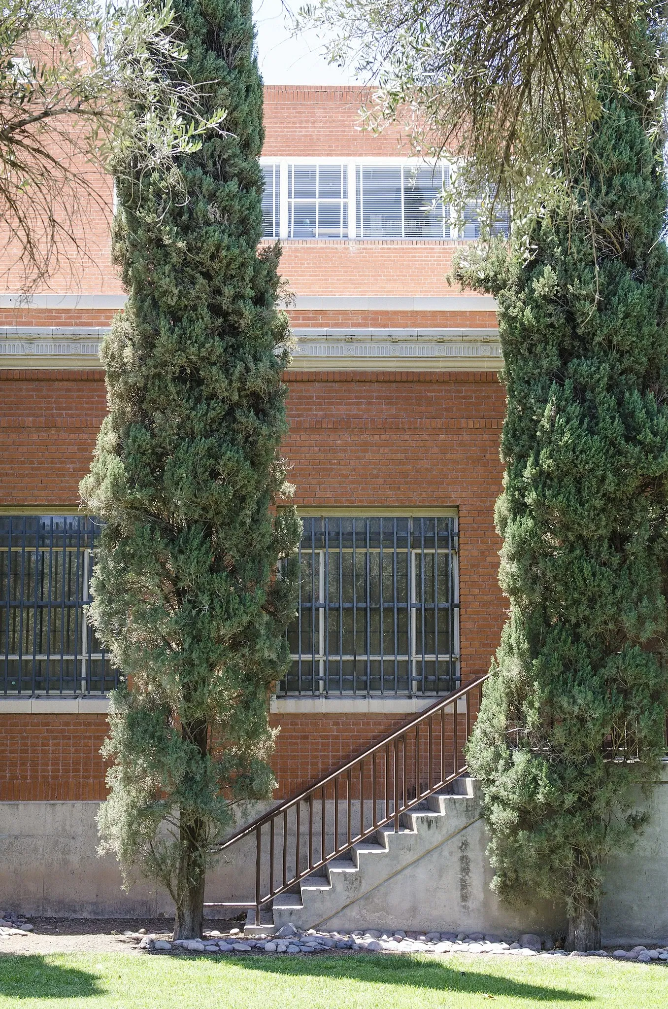 Museo Estatal de Arizona