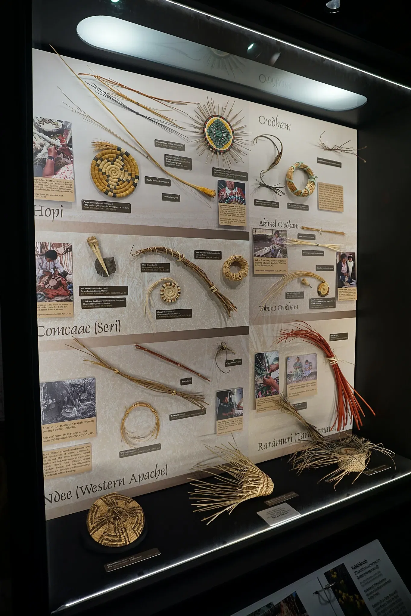 Arizona State Museum