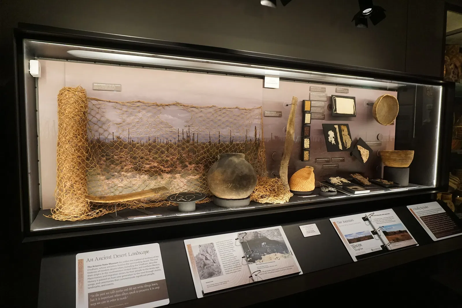 Arizona State Museum