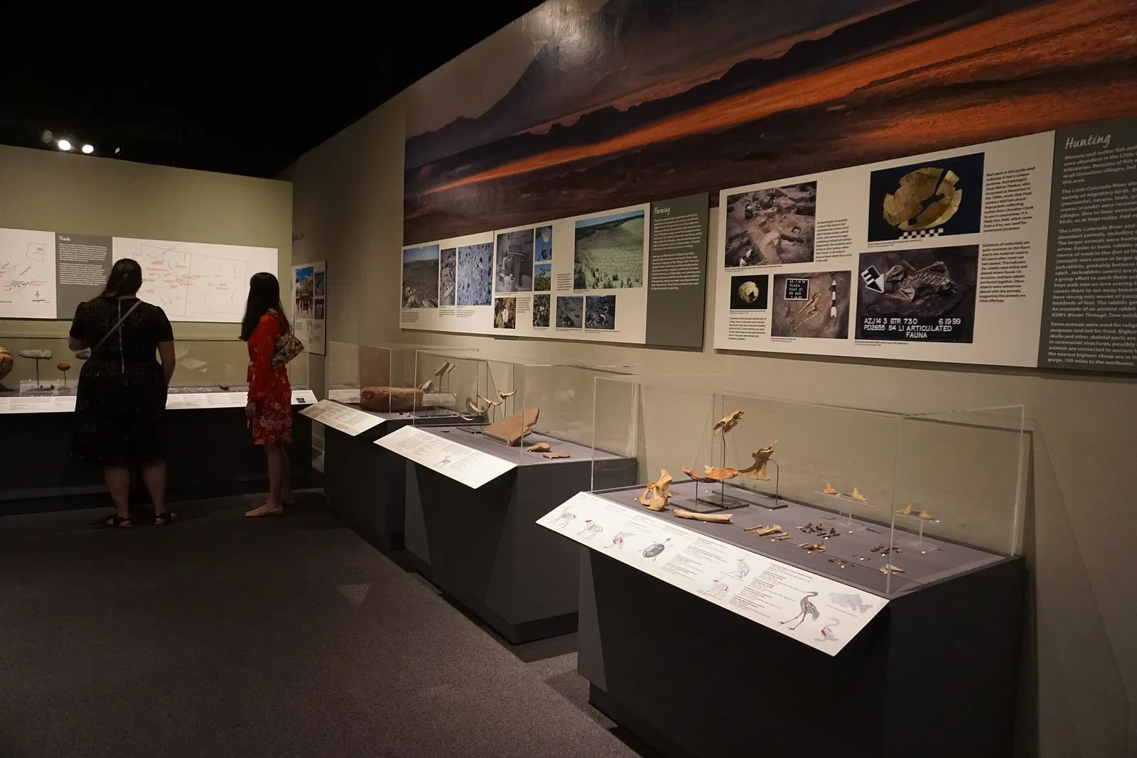 Museo Estatal de Arizona