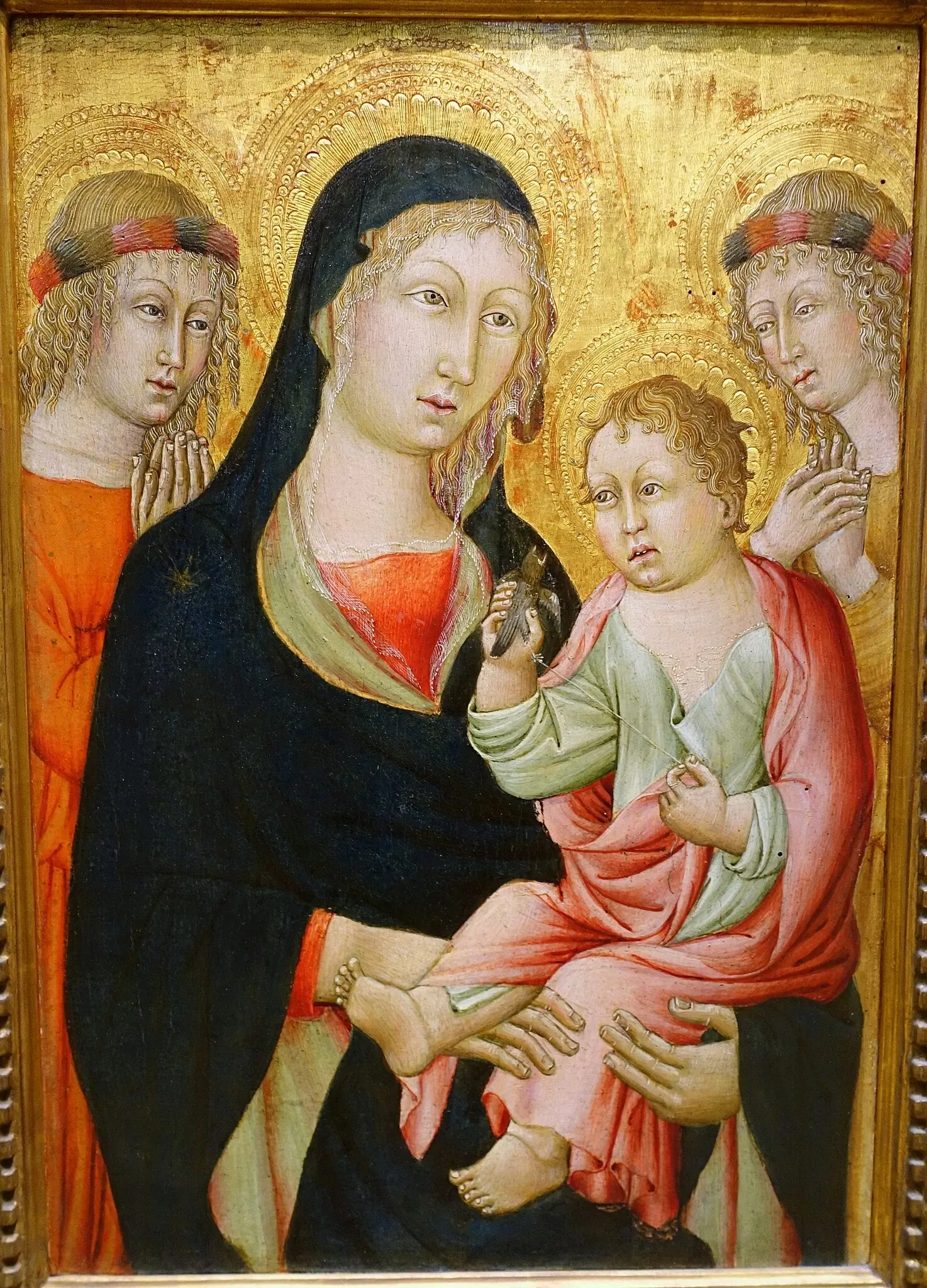 University of Arizona Museum of Art