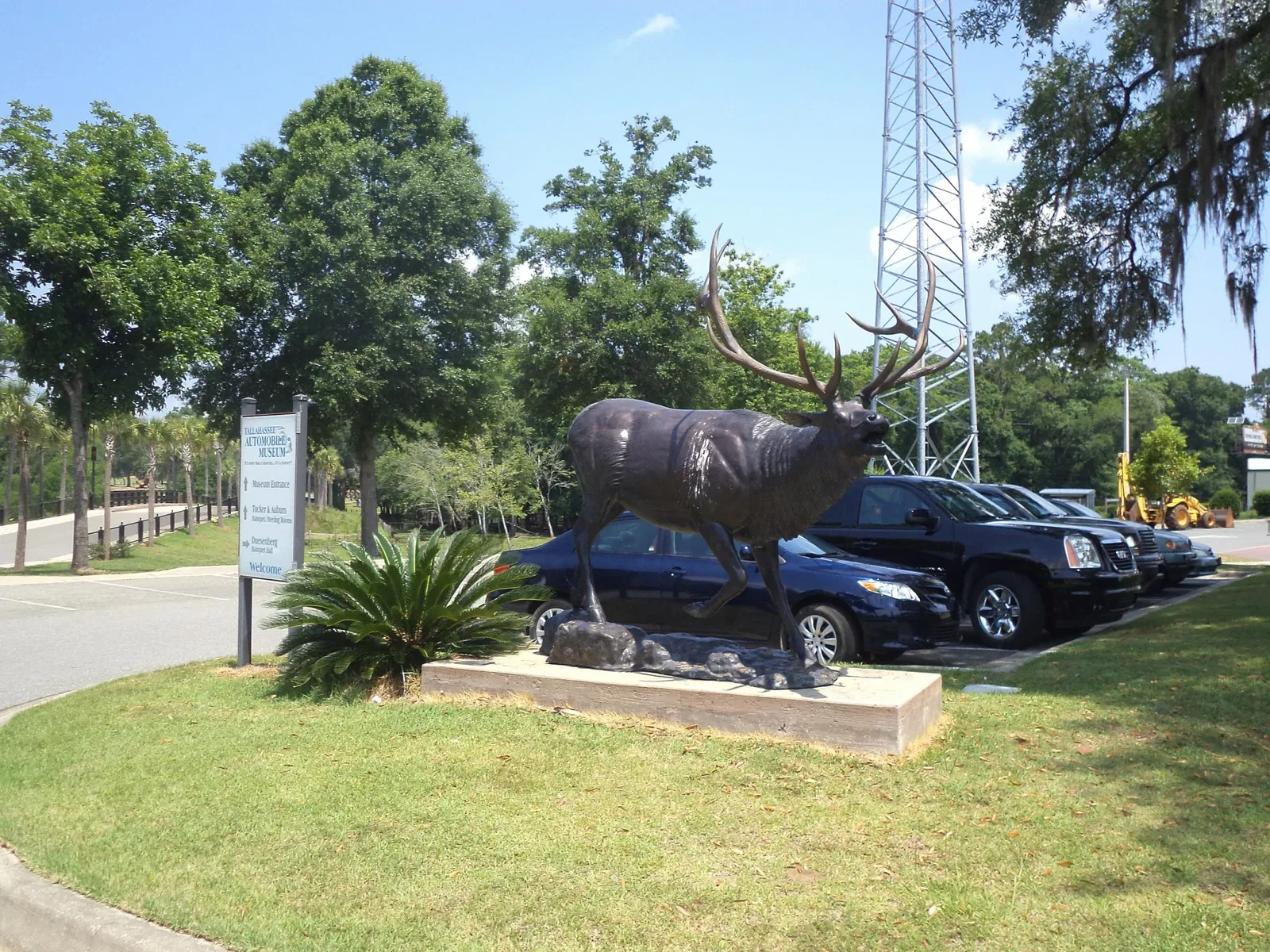 Tallahassee Auto Museum