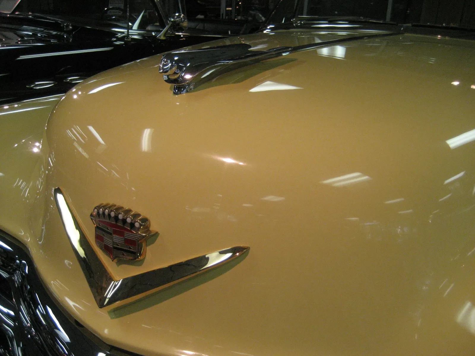 Museo del Automóvil de Tallahassee