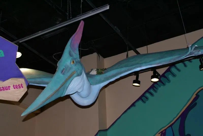 The Children's Museum of Indianapolis