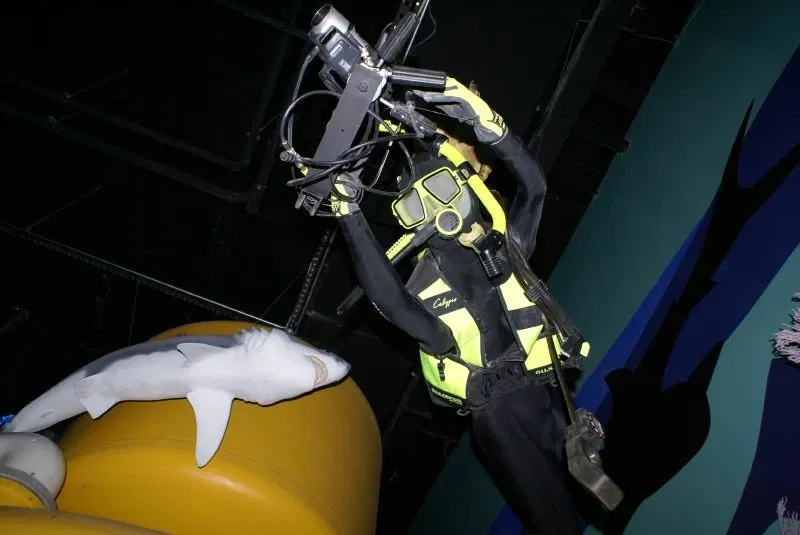 The Children's Museum of Indianapolis