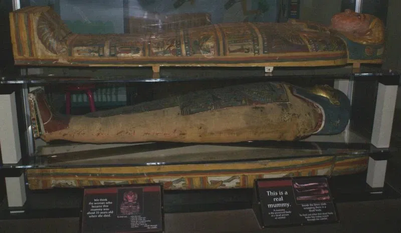 Museo de los Niños de Indianápolis