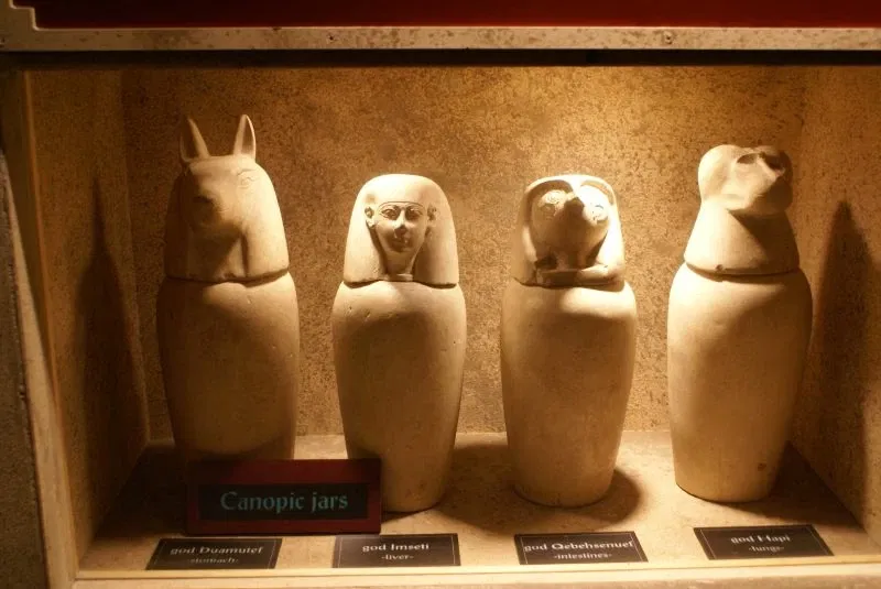 The Children's Museum of Indianapolis