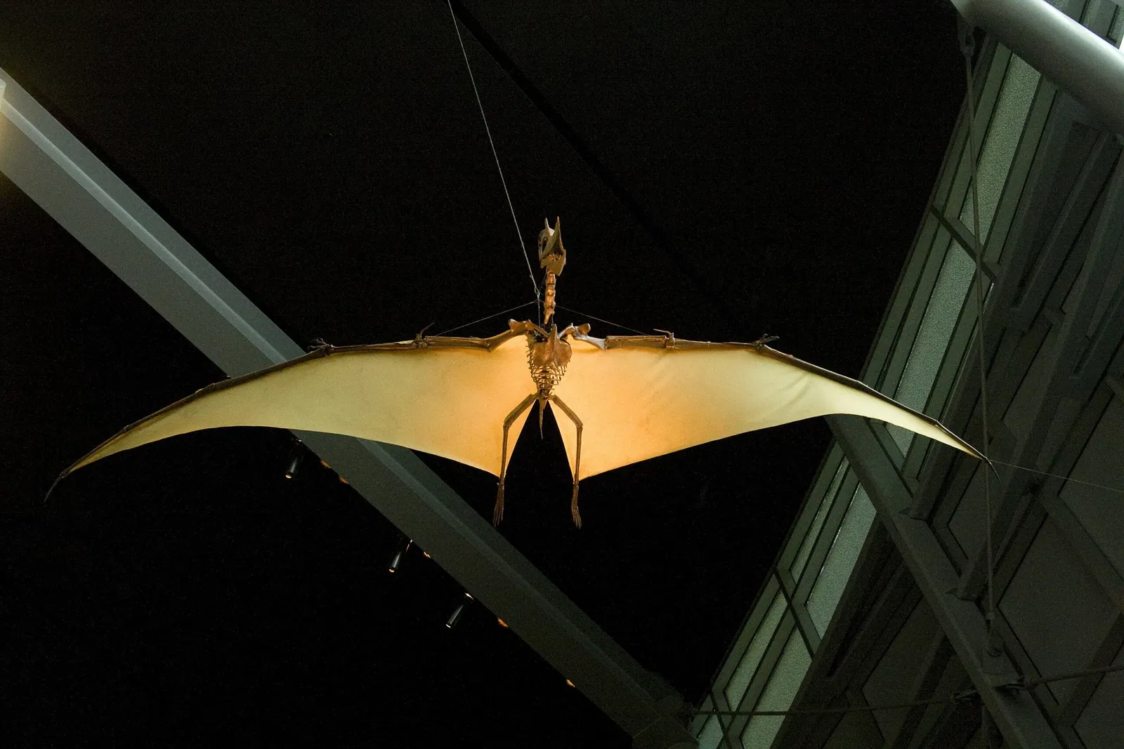 Children's Museum of Indianapolis