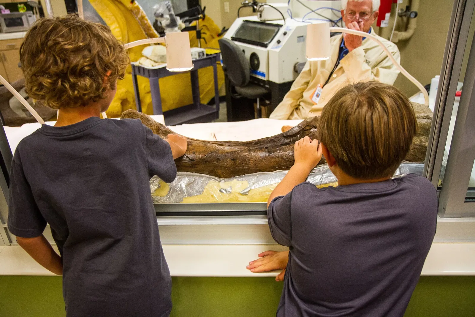 The Children's Museum of Indianapolis