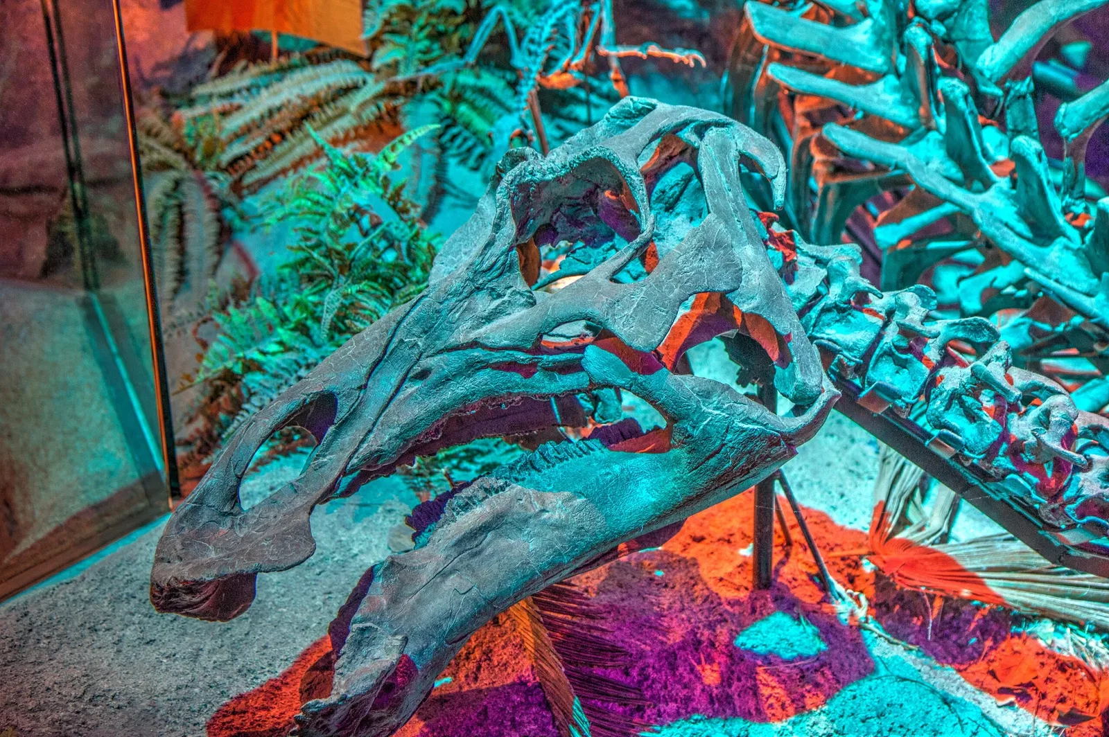 The Children's Museum of Indianapolis