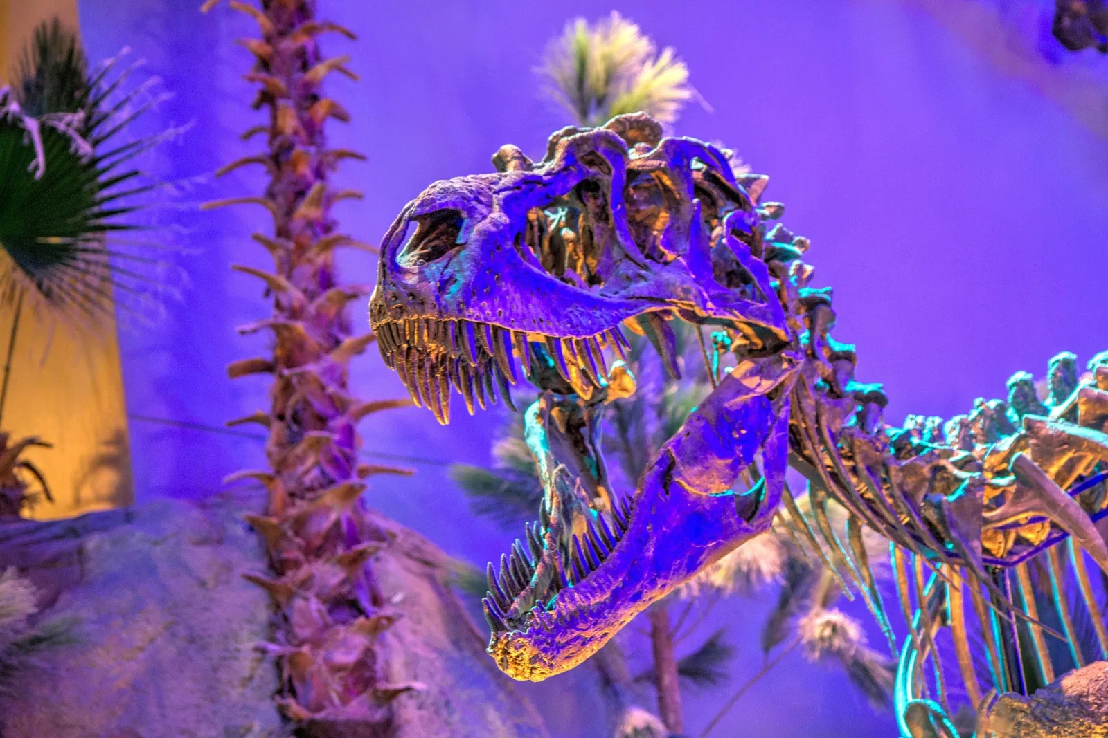 Children's Museum of Indianapolis